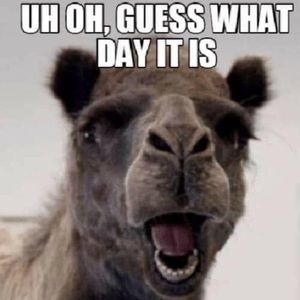 Meet your Posher, Oliver